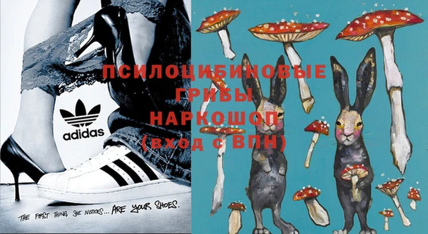 молекула духа Алексин