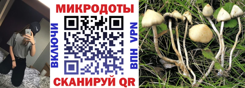 Псилоцибиновые грибы MAGIC MUSHROOMS  купить наркотики сайты  kraken как войти  Пучеж 