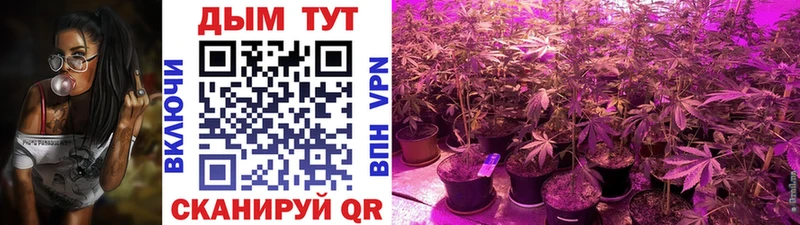 Каннабис планчик  продажа наркотиков  Пучеж 
